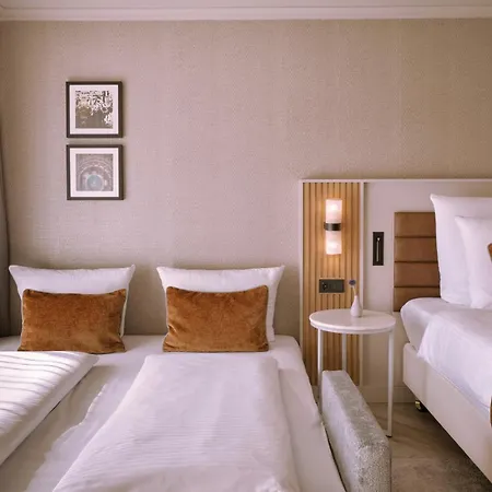 베스트 웨스턴 퀸즈 바덴-바덴 - 수페리어 바덴바덴